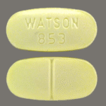 Hydrocodone Watson